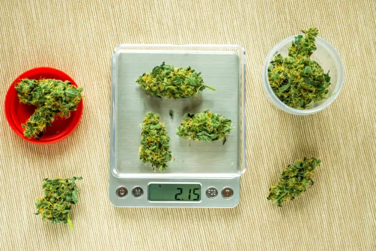 How Much is 3.5 Grams of Marijuana? Weed Measurements Guide