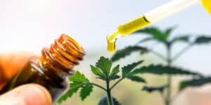 CBD oil