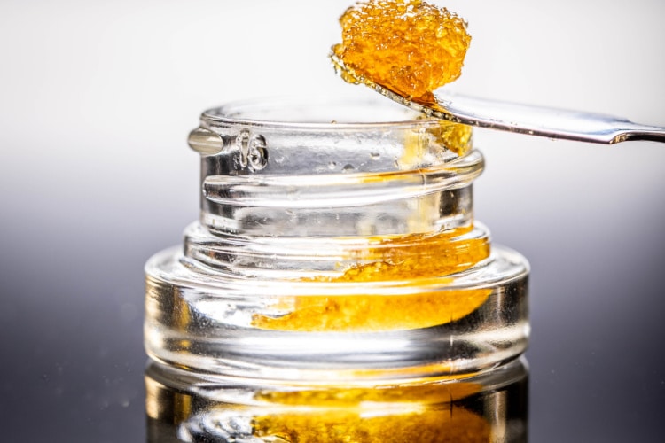 Live Resin vs Live Rosin What’s the Difference?