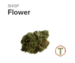 cannabis flower at Cloud dispensary